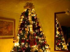 bradul de craciun