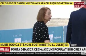 Dragoste la prima vedere: Tânărul soț ar fi agățat-o în parc pe Rodica Stănoiu rodica stănoiu